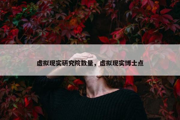 虚拟现实研究院数量，虚拟现实博士点