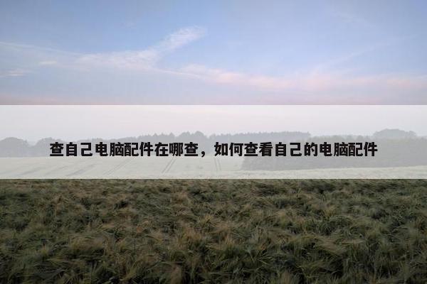 查自己电脑配件在哪查，如何查看自己的电脑配件