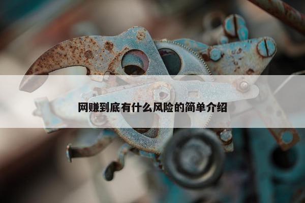 网赚到底有什么风险的简单介绍