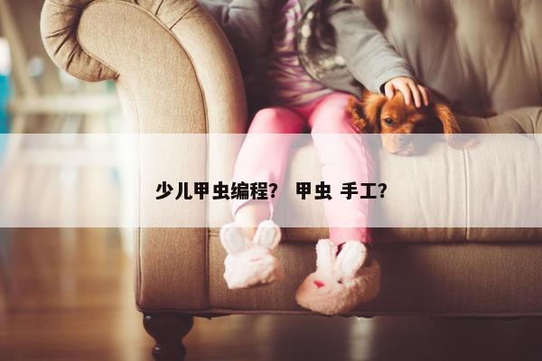 少儿甲虫编程？ 甲虫 手工？