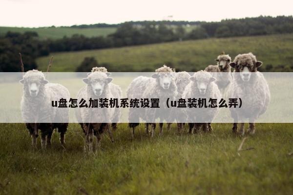 u盘怎么加装机系统设置（u盘装机怎么弄）