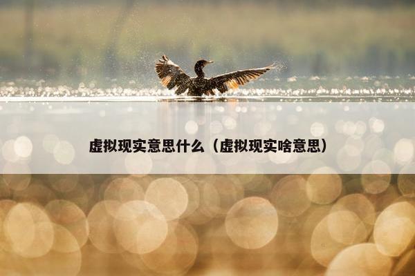 虚拟现实意思什么（虚拟现实啥意思）