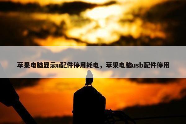 苹果电脑显示u配件停用耗电，苹果电脑usb配件停用