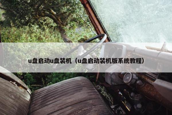 u盘启动u盘装机（u盘启动装机版系统教程）