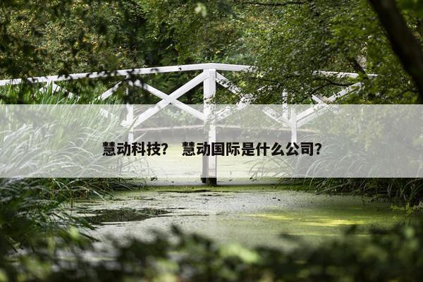慧动科技？ 慧动国际是什么公司？