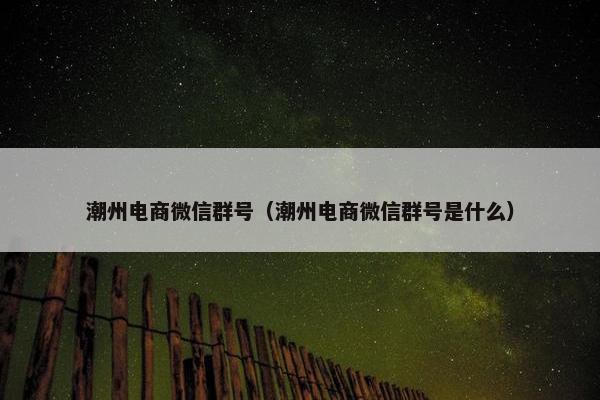潮州电商微信群号（潮州电商微信群号是什么）