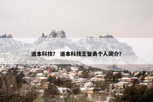 道本科技？ 道本科技王智勇个人简介？
