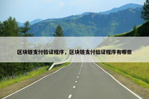 区块链支付验证程序，区块链支付验证程序有哪些
