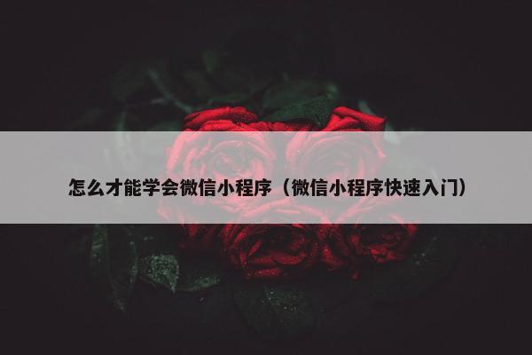 怎么才能学会微信小程序（微信小程序快速入门）