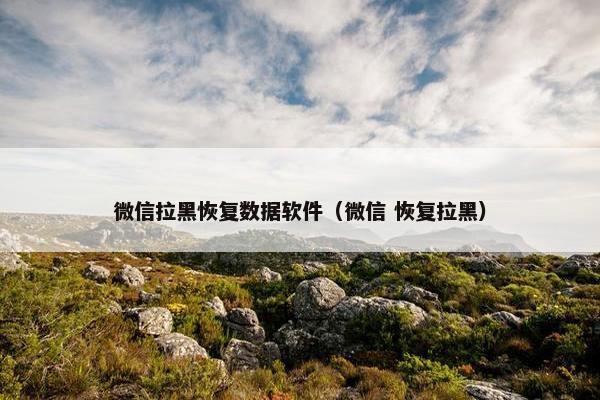 微信拉黑恢复数据软件（微信 恢复拉黑）