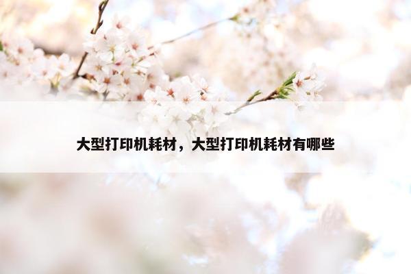 大型打印机耗材，大型打印机耗材有哪些