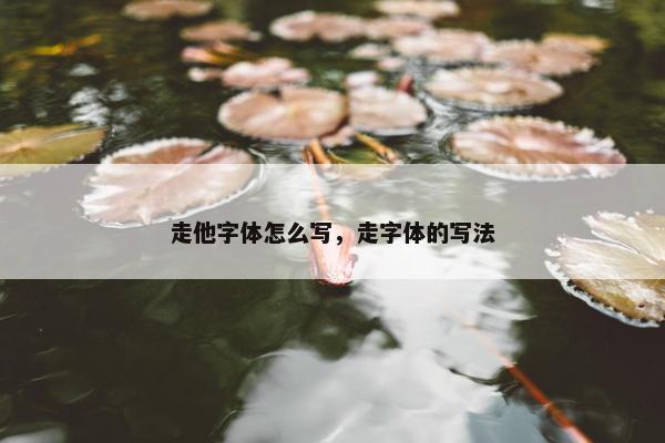 走他字体怎么写，走字体的写法