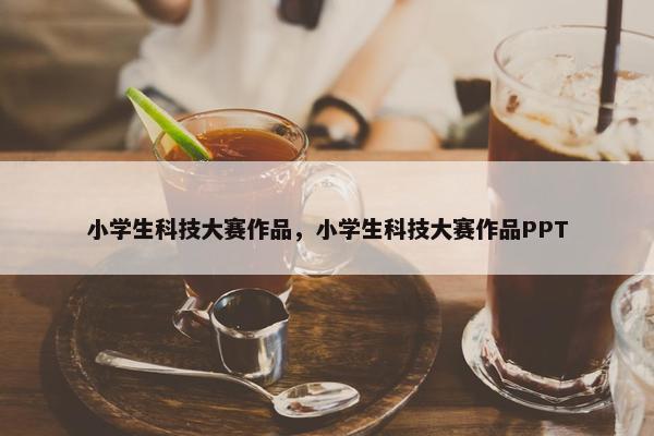 小学生科技大赛作品，小学生科技大赛作品PPT