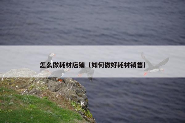 怎么做耗材店铺（如何做好耗材销售）