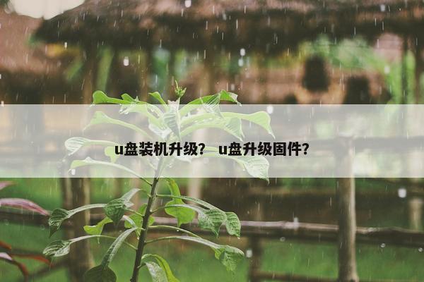 u盘装机升级？ u盘升级固件？