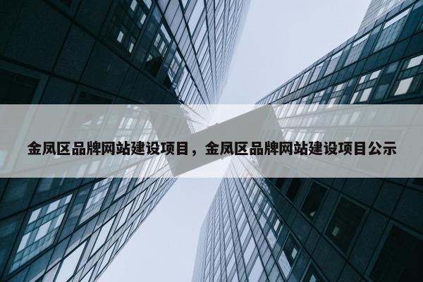 金凤区品牌网站建设项目，金凤区品牌网站建设项目公示