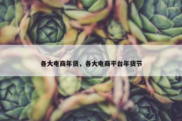 各大电商年货，各大电商平台年货节