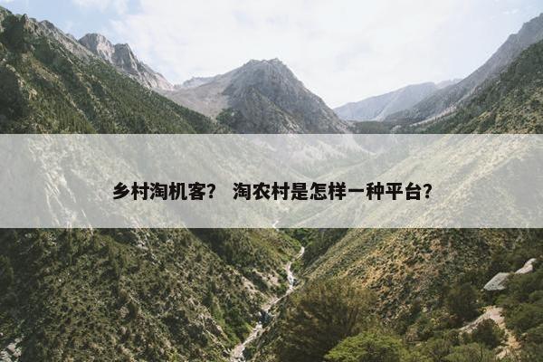 乡村淘机客？ 淘农村是怎样一种平台？