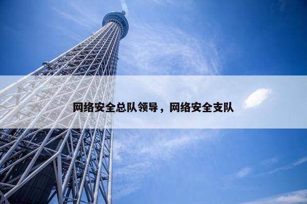 网络安全总队领导，网络安全支队