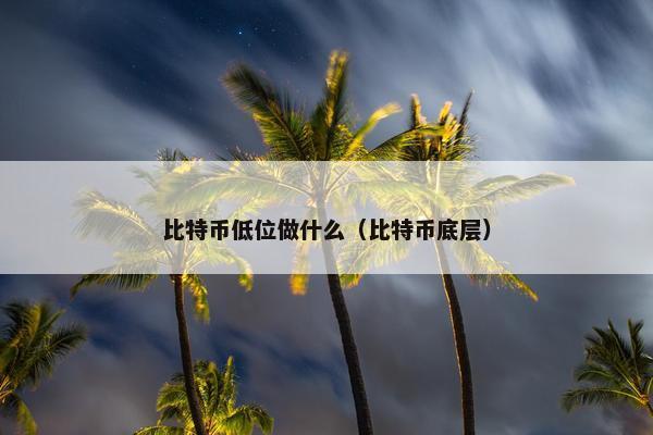 比特币低位做什么（比特币底层）