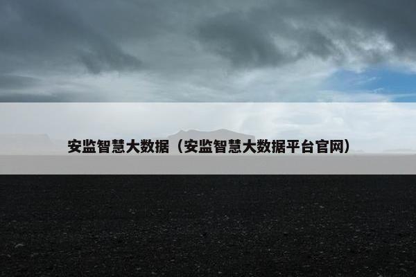 安监智慧大数据（安监智慧大数据平台官网）