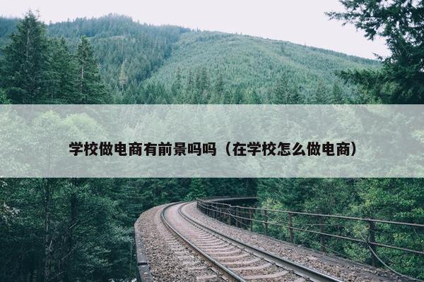 学校做电商有前景吗吗（在学校怎么做电商）