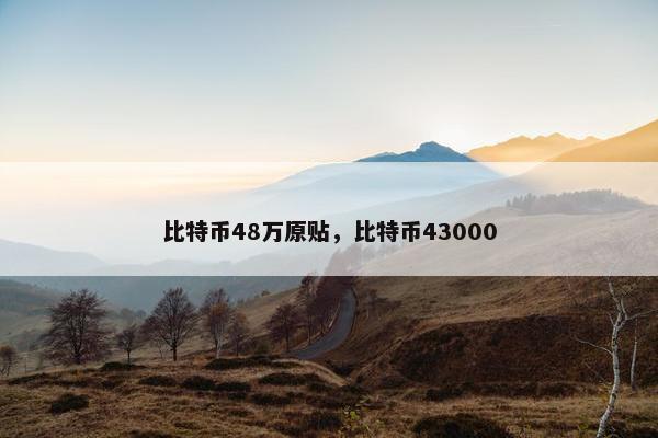 比特币48万原贴，比特币43000