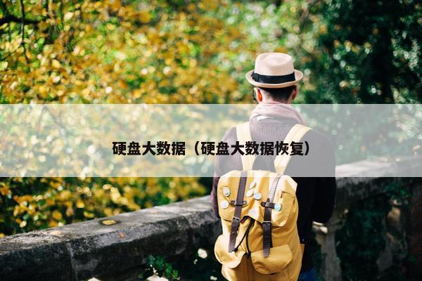 硬盘大数据（硬盘大数据恢复）
