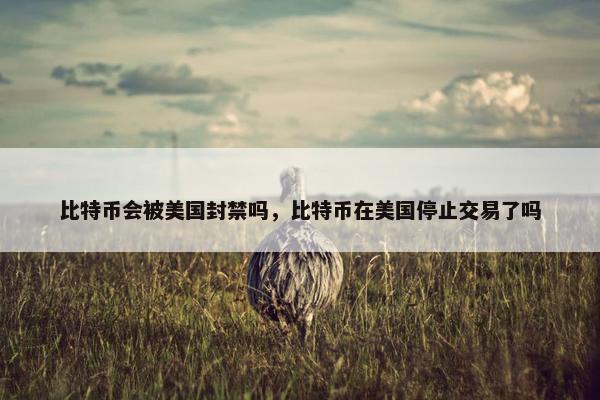 比特币会被美国封禁吗，比特币在美国停止交易了吗