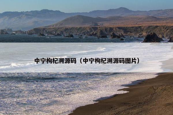 中宁枸杞溯源码（中宁枸杞溯源码图片）