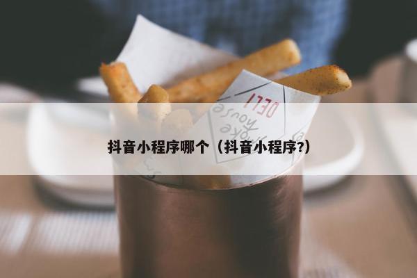 抖音小程序哪个（抖音小程序?）