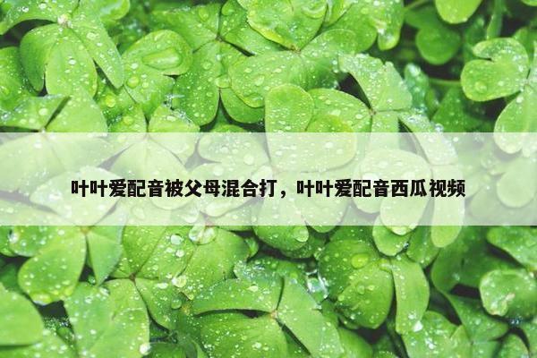 叶叶爱配音被父母混合打，叶叶爱配音西瓜视频