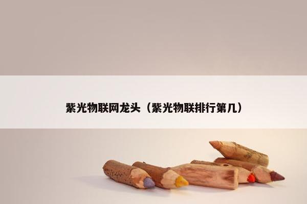 紫光物联网龙头（紫光物联排行第几）