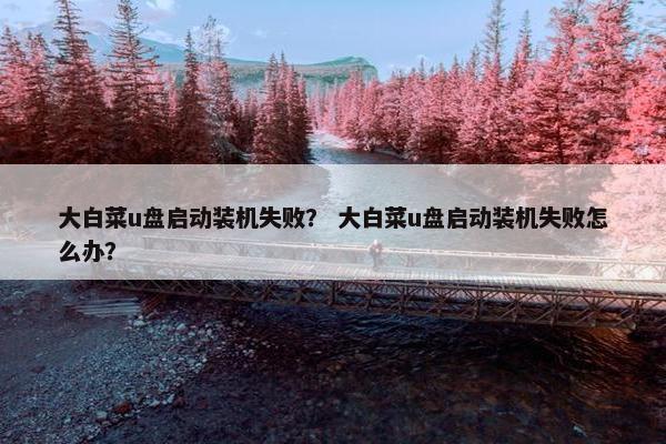大白菜u盘启动装机失败？ 大白菜u盘启动装机失败怎么办？