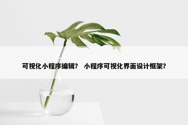 可视化小程序编辑？ 小程序可视化界面设计框架？