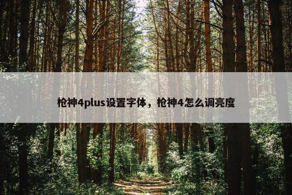 枪神4plus设置字体，枪神4怎么调亮度
