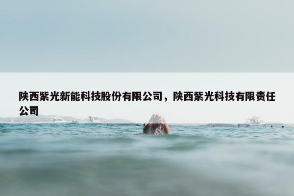 陕西紫光新能科技股份有限公司，陕西紫光科技有限责任公司