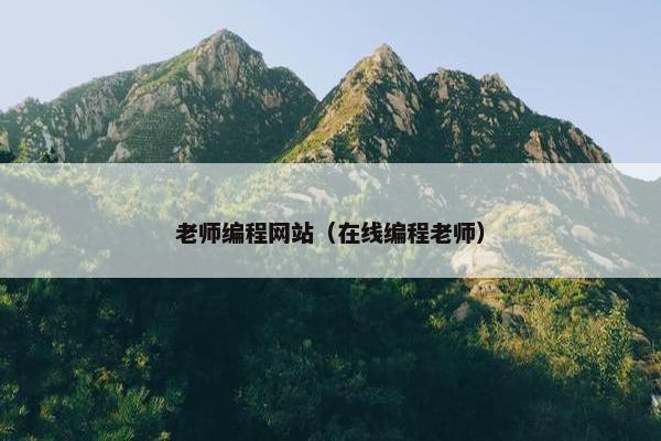老师编程网站（在线编程老师）