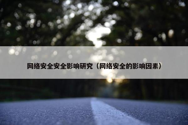 网络安全安全影响研究（网络安全的影响因素）