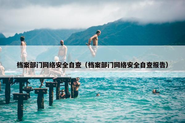 档案部门网络安全自查（档案部门网络安全自查报告）