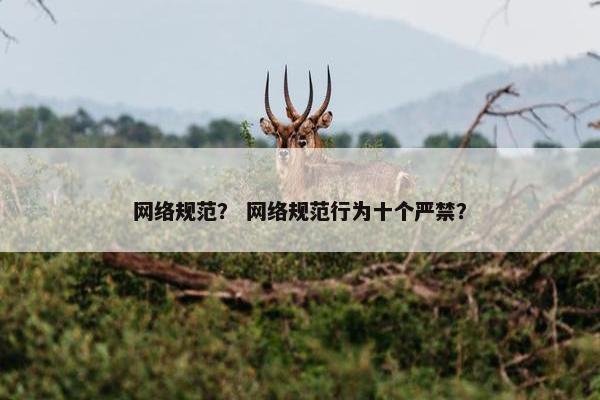 网络规范？ 网络规范行为十个严禁？