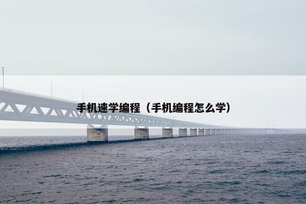 手机速学编程（手机编程怎么学）
