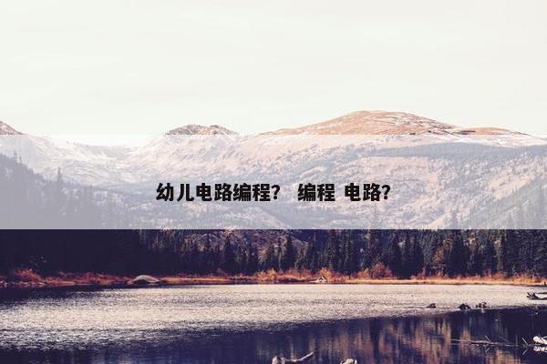 幼儿电路编程？ 编程 电路？