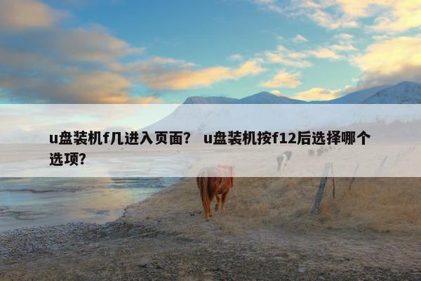 u盘装机f几进入页面？ u盘装机按f12后选择哪个选项？