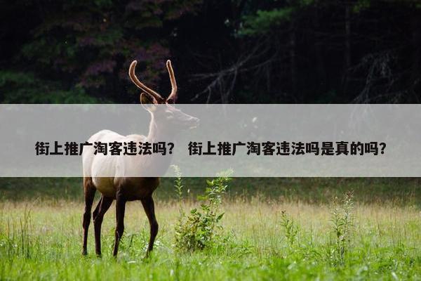 街上推广淘客违法吗？ 街上推广淘客违法吗是真的吗？