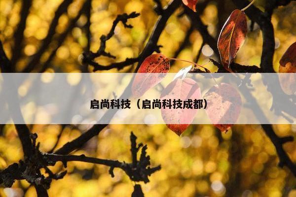 启尚科技（启尚科技成都）