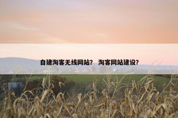 自建淘客无线网站？ 淘客网站建设？