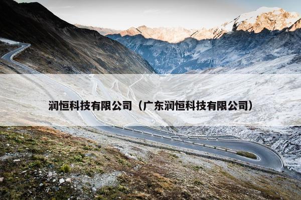 润恒科技有限公司（广东润恒科技有限公司）