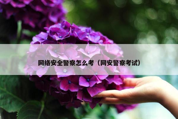网络安全警察怎么考（网安警察考试）