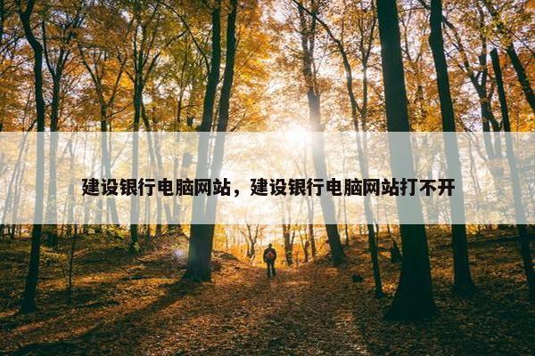 建设银行电脑网站，建设银行电脑网站打不开